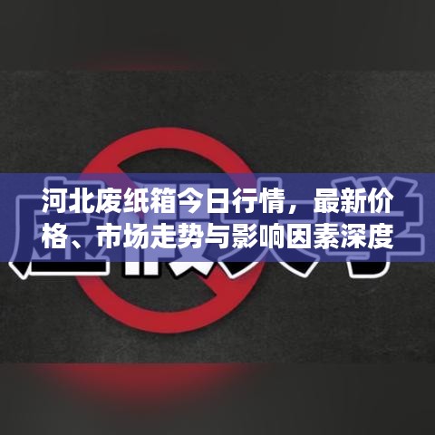 河北废纸箱今日行情，最新价格、市场走势与影响因素深度解析