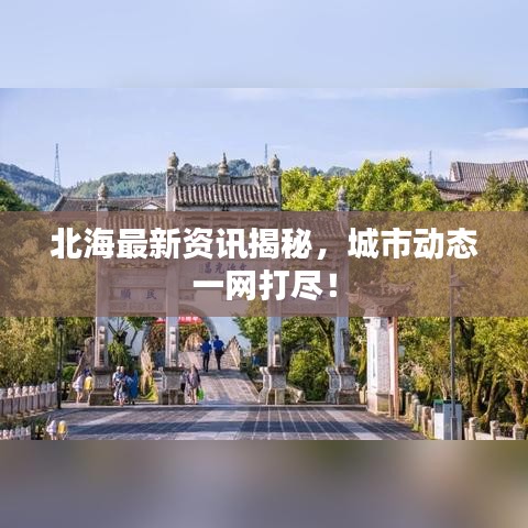 北海最新资讯揭秘，城市动态一网打尽！