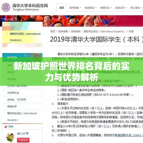 新加坡护照世界排名背后的实力与优势解析