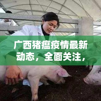 广西猪瘟疫情最新动态，全面关注，科学防控措施实施