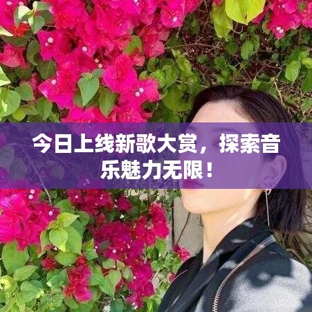 今日上线新歌大赏，探索音乐魅力无限！