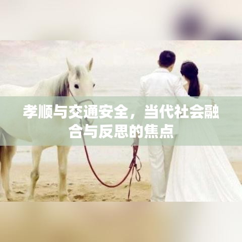 孝顺与交通安全，当代社会融合与反思的焦点