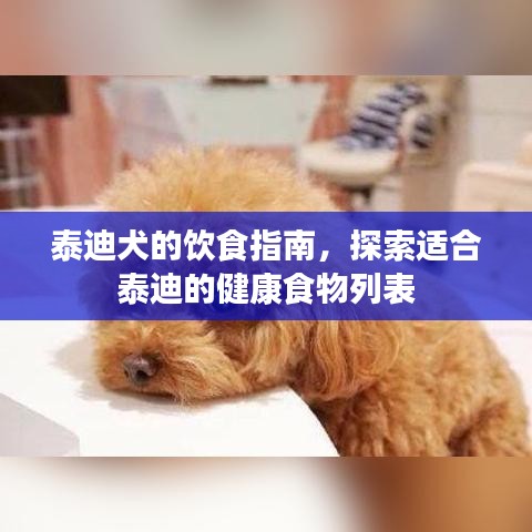 泰迪犬的饮食指南，探索适合泰迪的健康食物列表