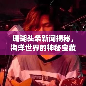 珊瑚头条新闻揭秘，海洋世界的神秘宝藏探索之旅