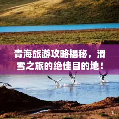青海旅游攻略揭秘，滑雪之旅的绝佳目的地！