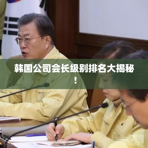 韩国公司会长级别排名大揭秘！