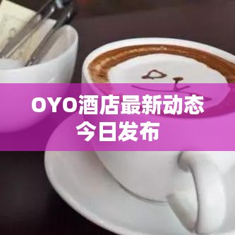 OYO酒店最新动态今日发布