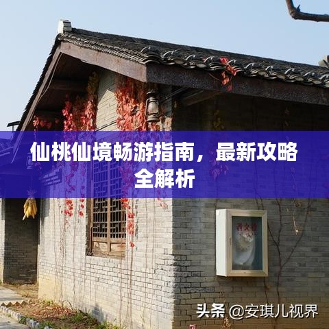 仙桃仙境畅游指南，最新攻略全解析