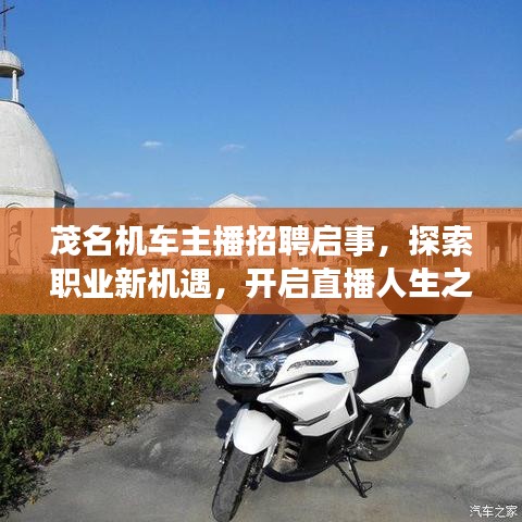 林下风范 第2页