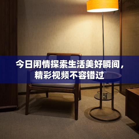 今日闲情探索生活美好瞬间，精彩视频不容错过