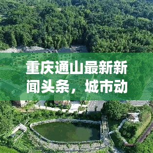 重庆通山最新新闻头条，城市动向与发展亮点速览