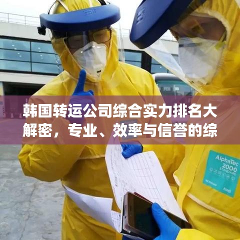 韩国转运公司综合实力排名大解密，专业、效率与信誉的综合评价榜单