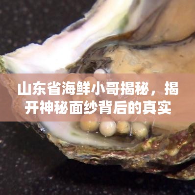 山东省海鲜小哥揭秘，揭开神秘面纱背后的真实故事！