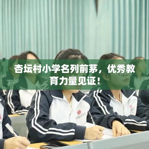 杏坛村小学名列前茅，优秀教育力量见证！