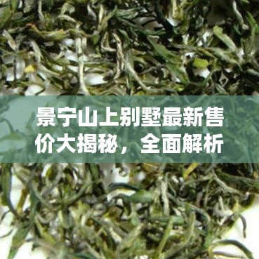 景宁山上别墅最新售价大揭秘，全面解析，不容错过！