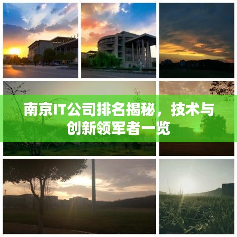 南京IT公司排名揭秘，技术与创新领军者一览