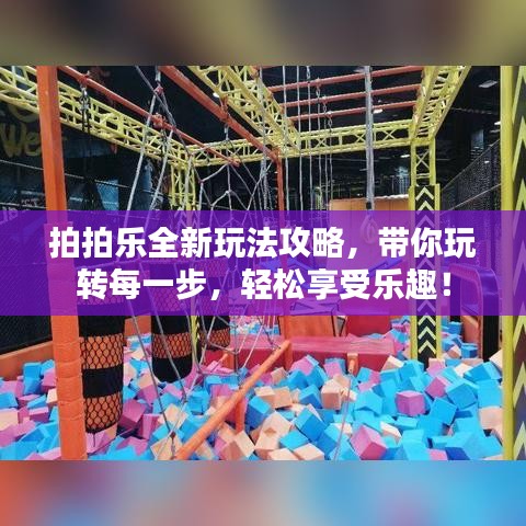拍拍乐全新玩法攻略，带你玩转每一步，轻松享受乐趣！