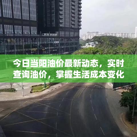 今日当阳油价最新动态，实时查询油价，掌握生活成本变化