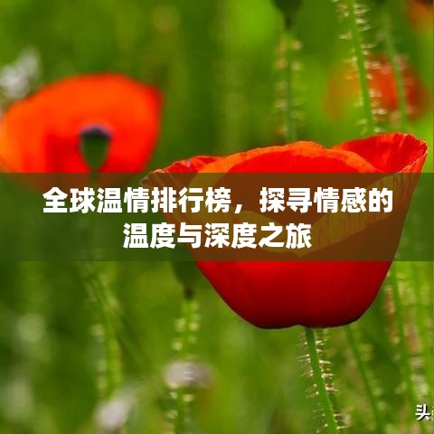 全球温情排行榜，探寻情感的温度与深度之旅