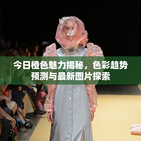 今日橙色魅力揭秘，色彩趋势预测与最新图片探索