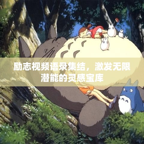 励志视频语录集结，激发无限潜能的灵感宝库