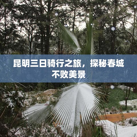 昆明三日骑行之旅，探秘春城不败美景