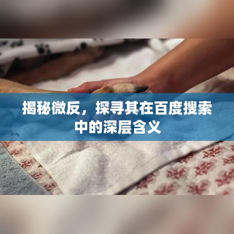 揭秘微反，探寻其在百度搜索中的深层含义