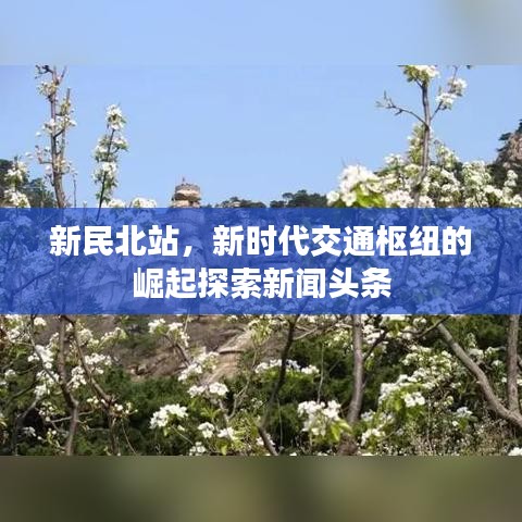 新民北站，新时代交通枢纽的崛起探索新闻头条