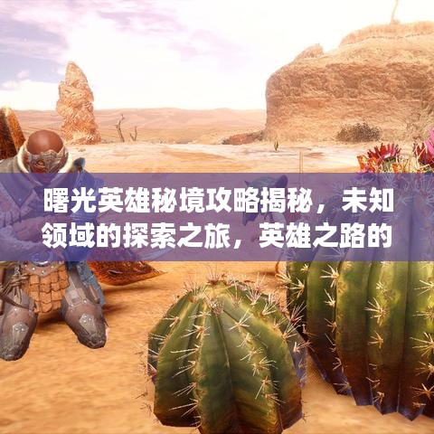 曙光英雄秘境攻略揭秘，未知领域的探索之旅，英雄之路的领航指南