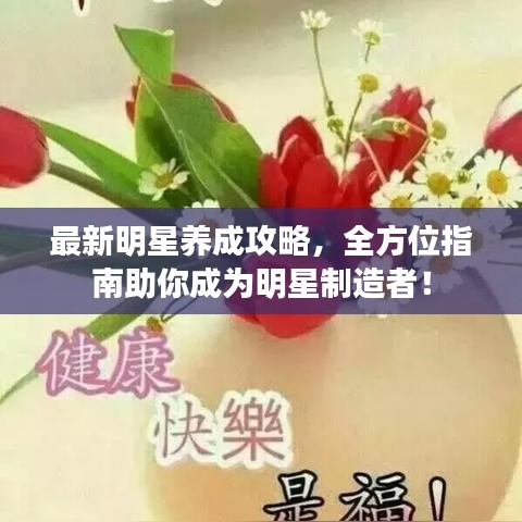 最新明星养成攻略，全方位指南助你成为明星制造者！