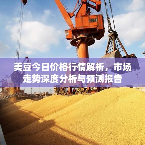 美豆今日价格行情解析，市场走势深度分析与预测报告