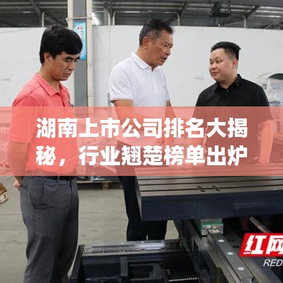 湖南上市公司排名大揭秘，行业翘楚榜单出炉！