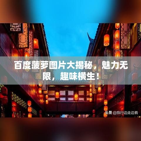 百度菠萝图片大揭秘，魅力无限，趣味横生！