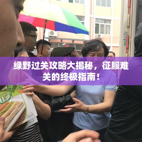 绿野过关攻略大揭秘，征服难关的终极指南！