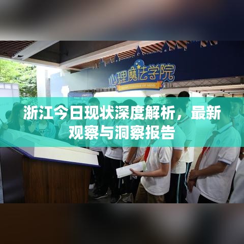 浙江今日现状深度解析，最新观察与洞察报告