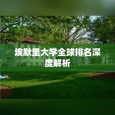 埃默里大学全球排名深度解析