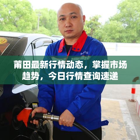 莆田最新行情动态，掌握市场趋势，今日行情查询速递