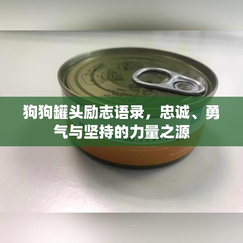 狗狗罐头励志语录，忠诚、勇气与坚持的力量之源