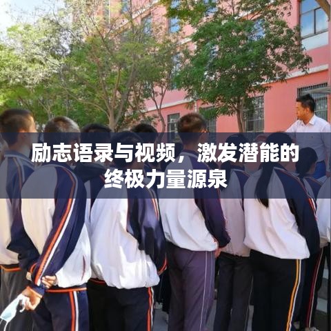 励志语录与视频，激发潜能的终极力量源泉