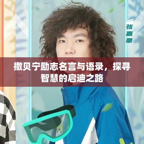 撒贝宁励志名言与语录，探寻智慧的启迪之路