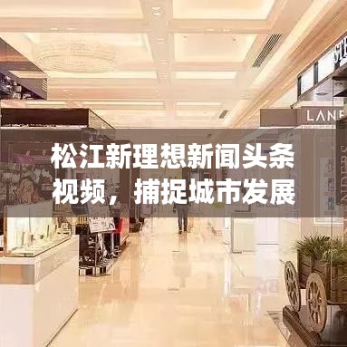 松江新理想新闻头条视频，捕捉城市发展的活力瞬间