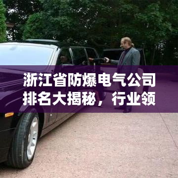 浙江省防爆电气公司排名大揭秘，行业领军者浮出水面！