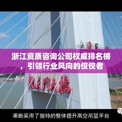 浙江资质咨询公司权威排名榜，引领行业风向的佼佼者