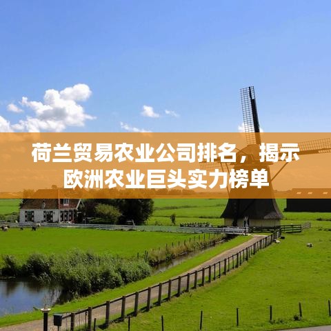 荷兰贸易农业公司排名，揭示欧洲农业巨头实力榜单
