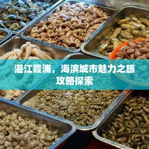 湛江霞浦，海滨城市魅力之旅攻略探索