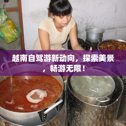 越南自驾游新动向，探索美景，畅游无限！