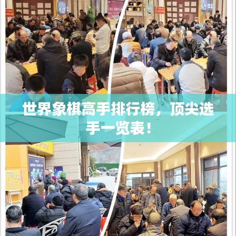 世界象棋高手排行榜，顶尖选手一览表！
