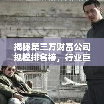 揭秘第三方财富公司规模排名榜，行业巨头与最新趋势一网打尽！