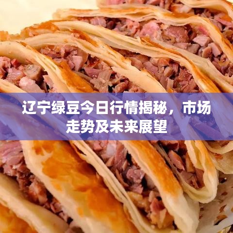 辽宁绿豆今日行情揭秘，市场走势及未来展望
