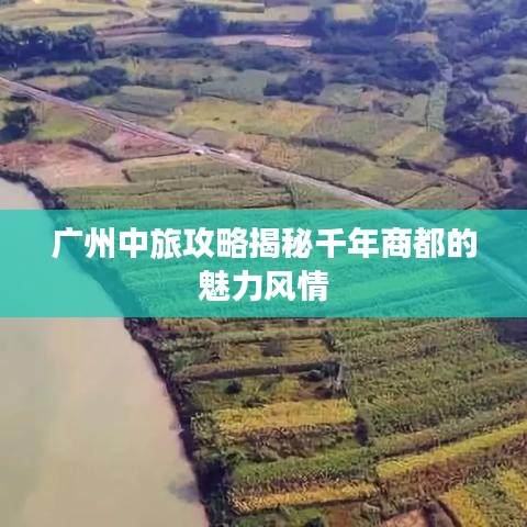 广州中旅攻略揭秘千年商都的魅力风情